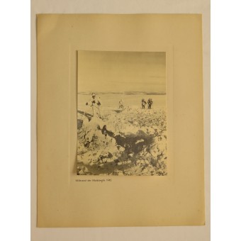 Eismeerfront 1942-43 Illustrerad portfölj med 19 foton.. Espenlaub militaria
